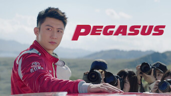 Pegasus (2019)