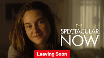 The Spectacular Now (2013)